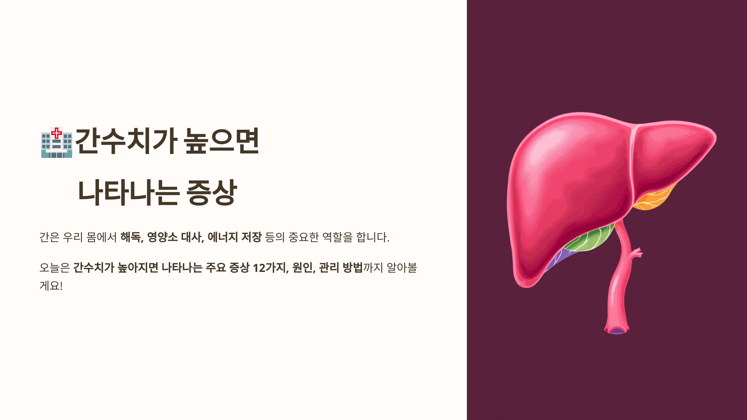 간수치와 관련된 사진입니다.