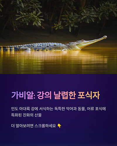 물고기 사냥에 특화된 강의 날렵한 포식자