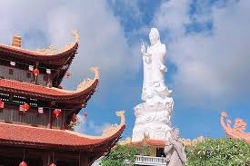 푸꾸옥 후추농장