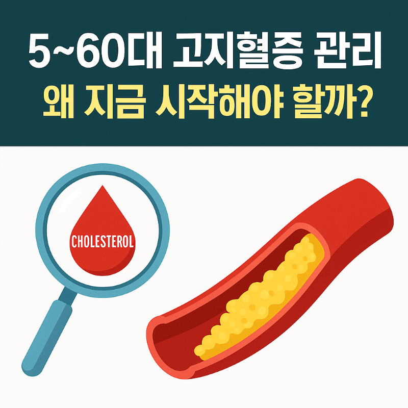 5~60대 고지혈증 관리, 왜 지금 시작해야 할까?