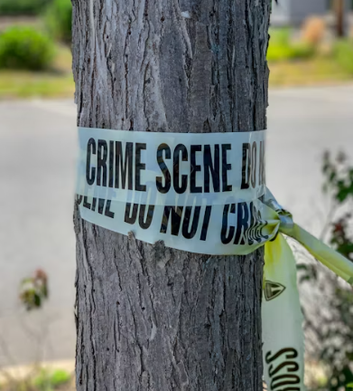 형사사법포털 사이트 사건조회