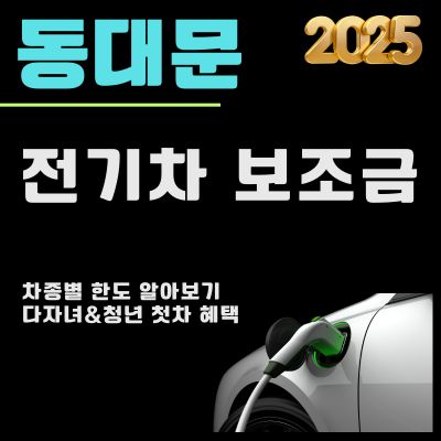 썸네일_2025년 동대문구 전기차 보조금 지급 총정리 (차종별 한도 조회, 청년 첫차, 다자녀)