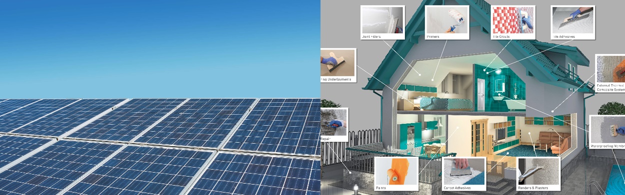 셀라니스-사업부문