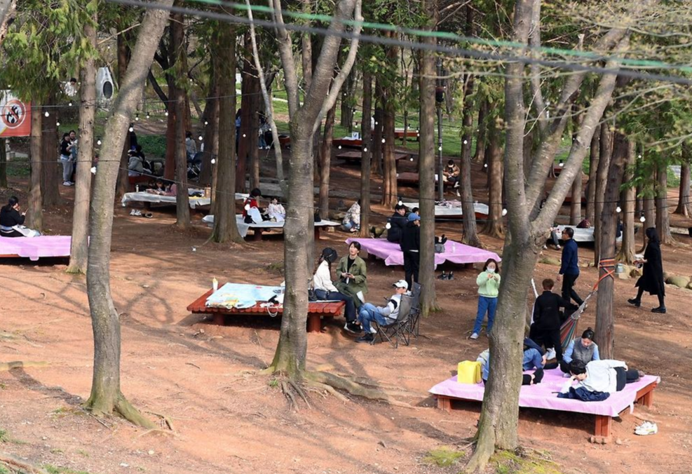 꽃빛드리축제