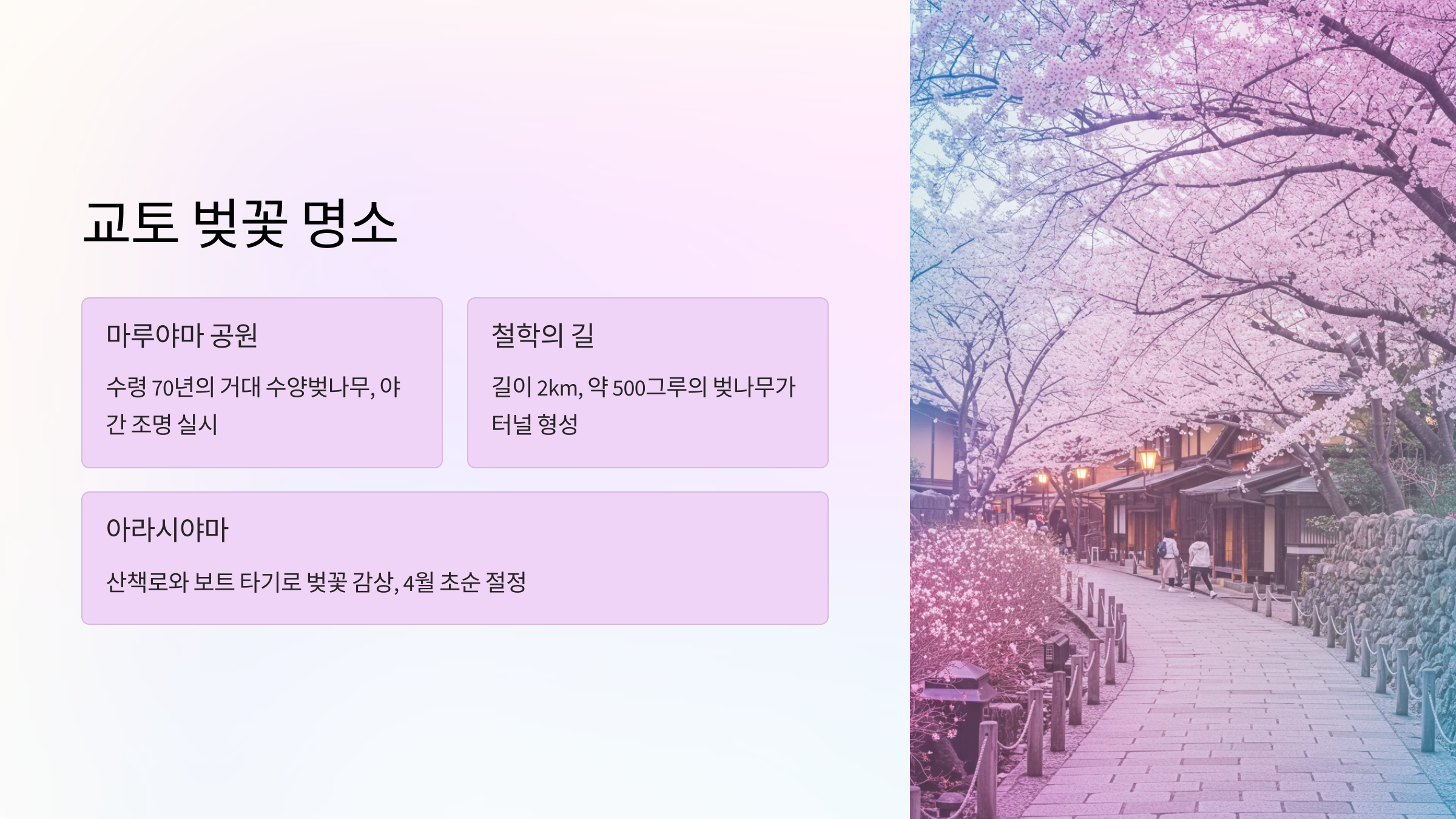 교토 벚꽃 명소