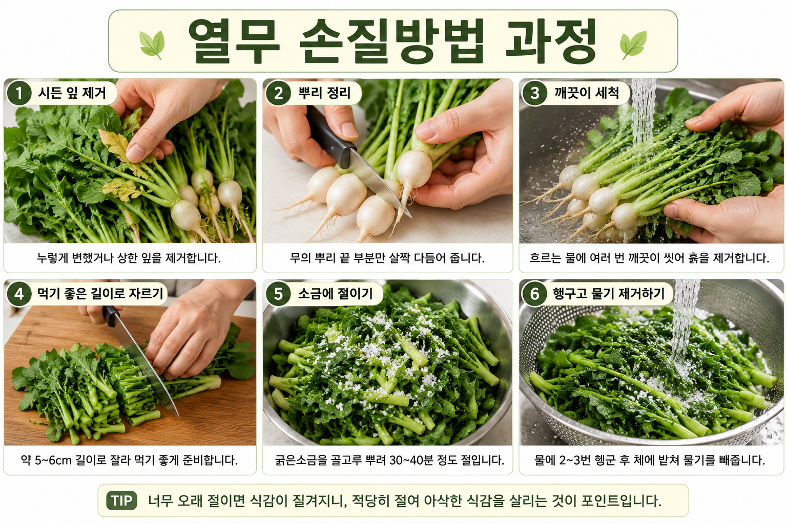열무 손질 과정