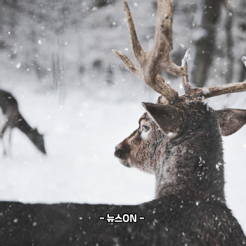 제주도 12월 가볼만한곳 10곳