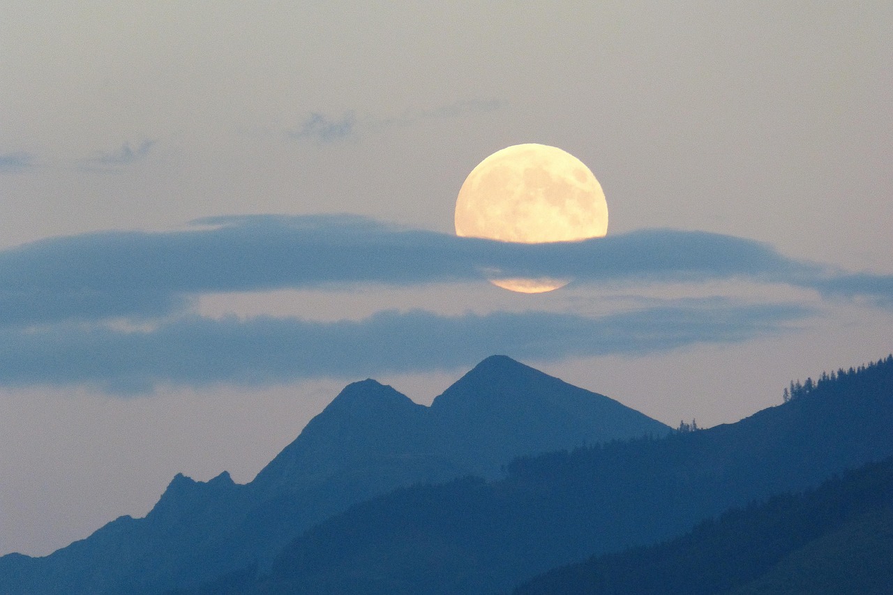 2025년 8월 17일 띠별 운세