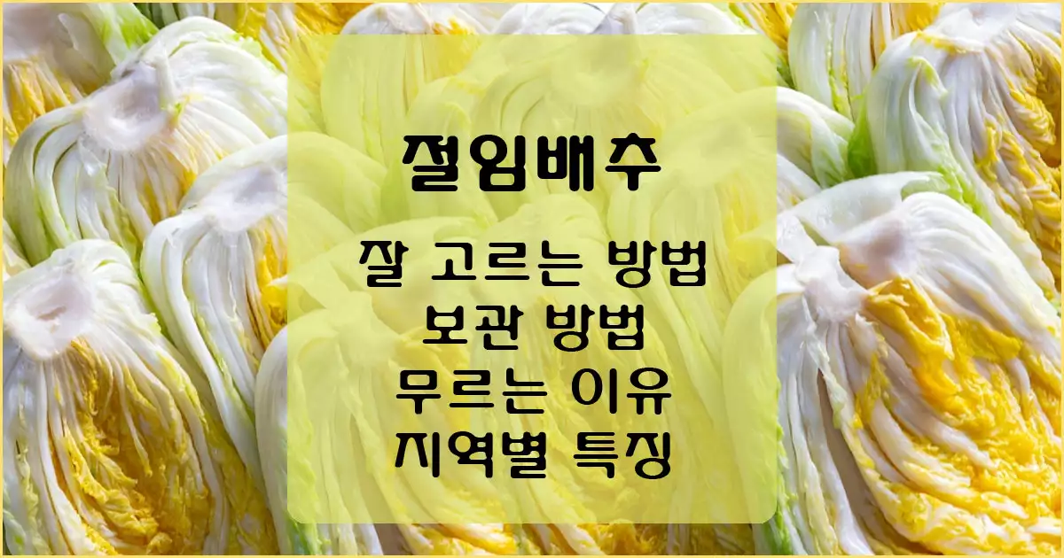 절임배추의 모든 것