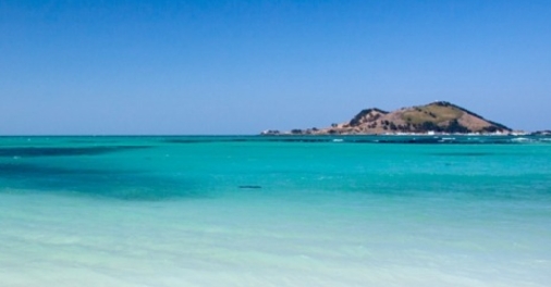 제주 102번 버스 노선 및 타는 곳