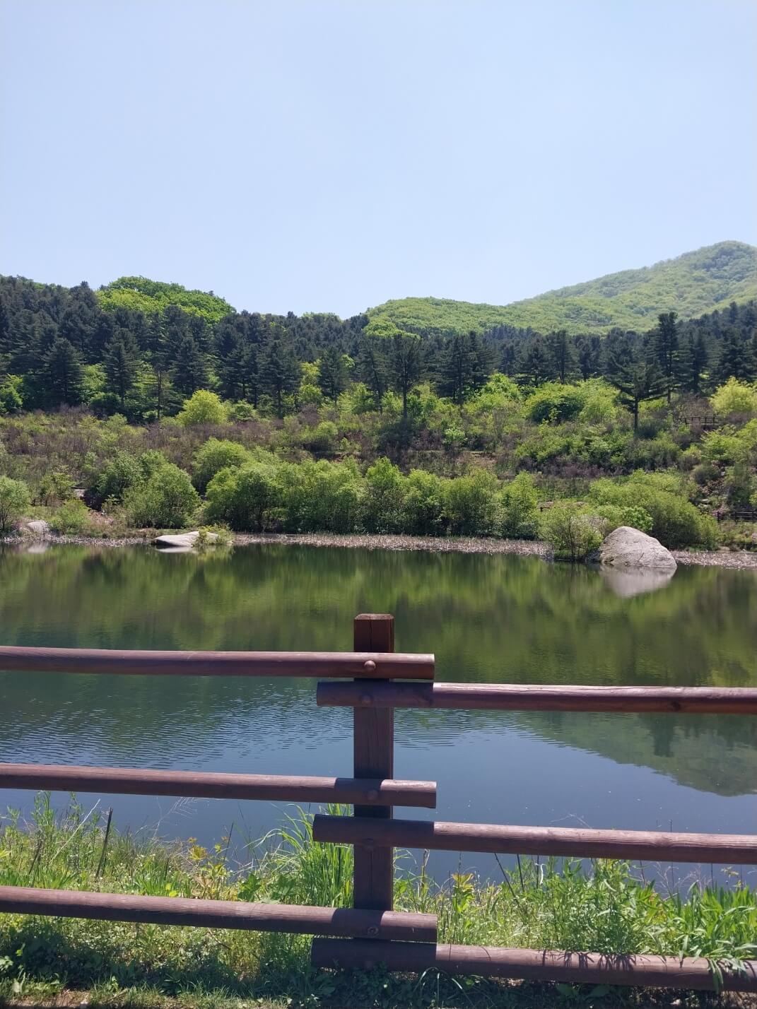 다양한 체험활동이 가능한 &amp;#39;잣향기푸른숲&amp;#39;