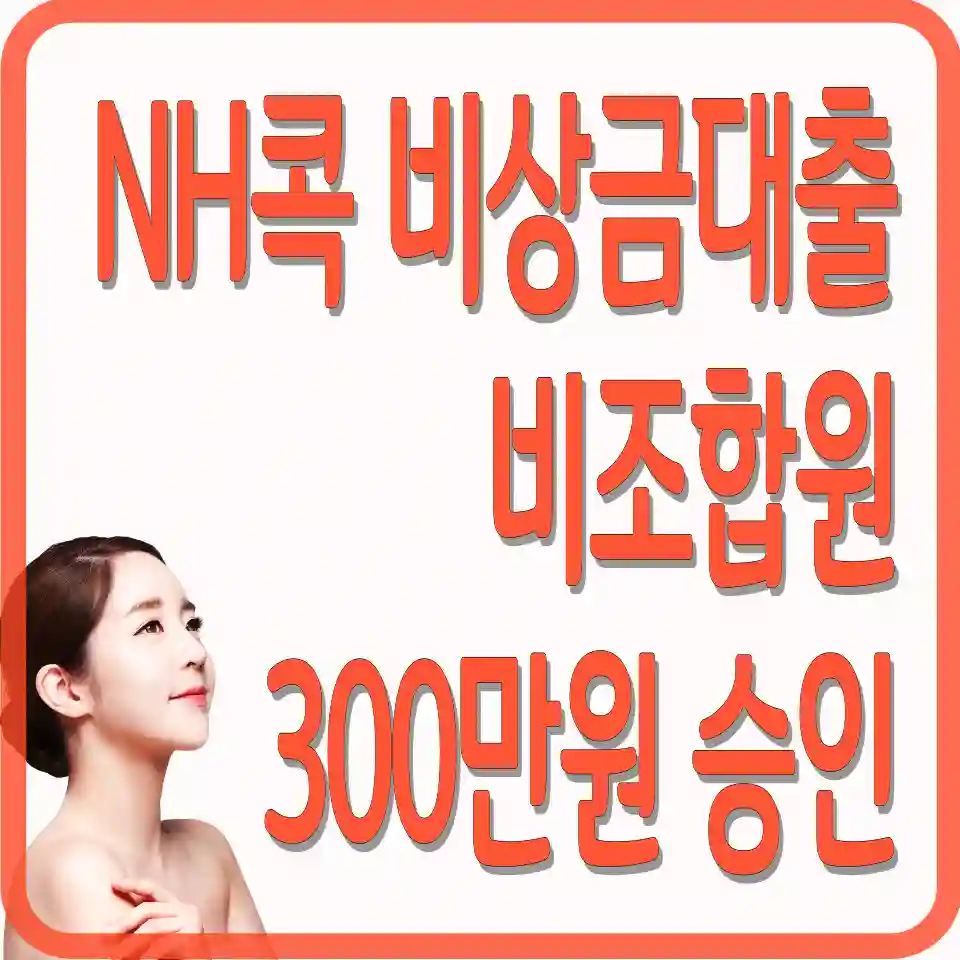 nh콕-비상금대출-신청하기