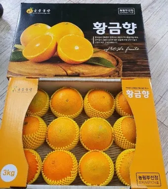 황금향 재배 개화기 관리 수분 수정 과실 비대_9