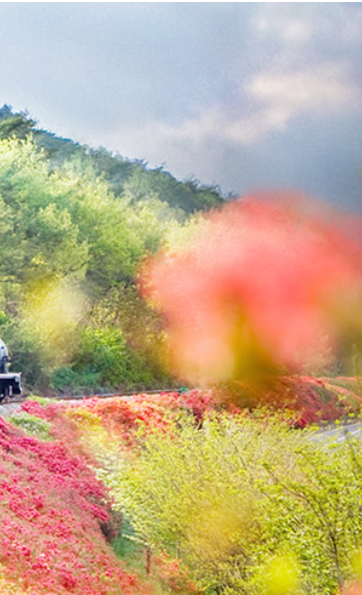 곡성 기차마을 증기기관차