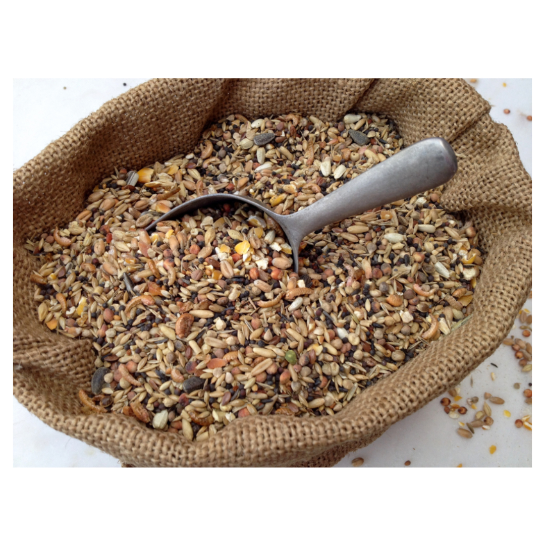 골다공증과 관련된 사진입니다.