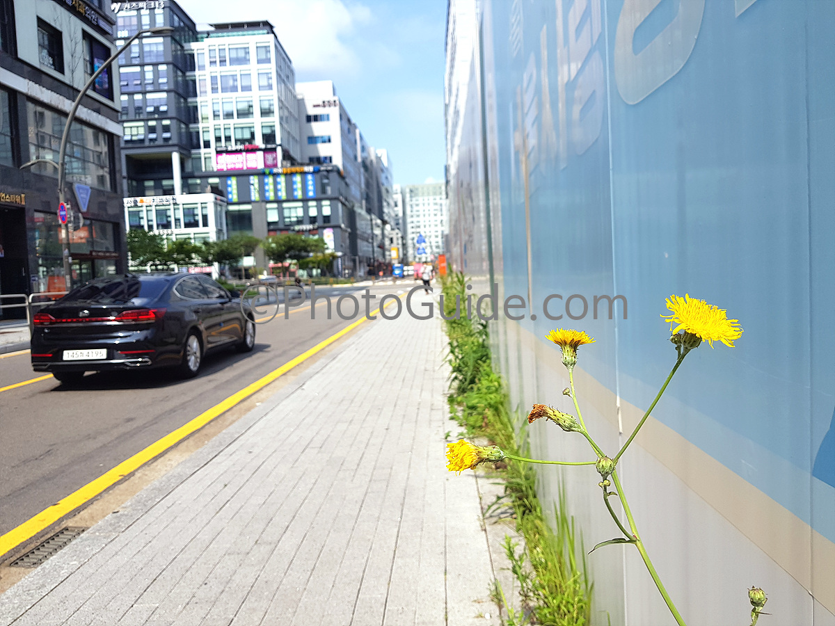 서울 도로 풍경