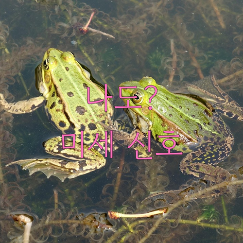 고혈압 초기증상, 설마 나도? 간과하..