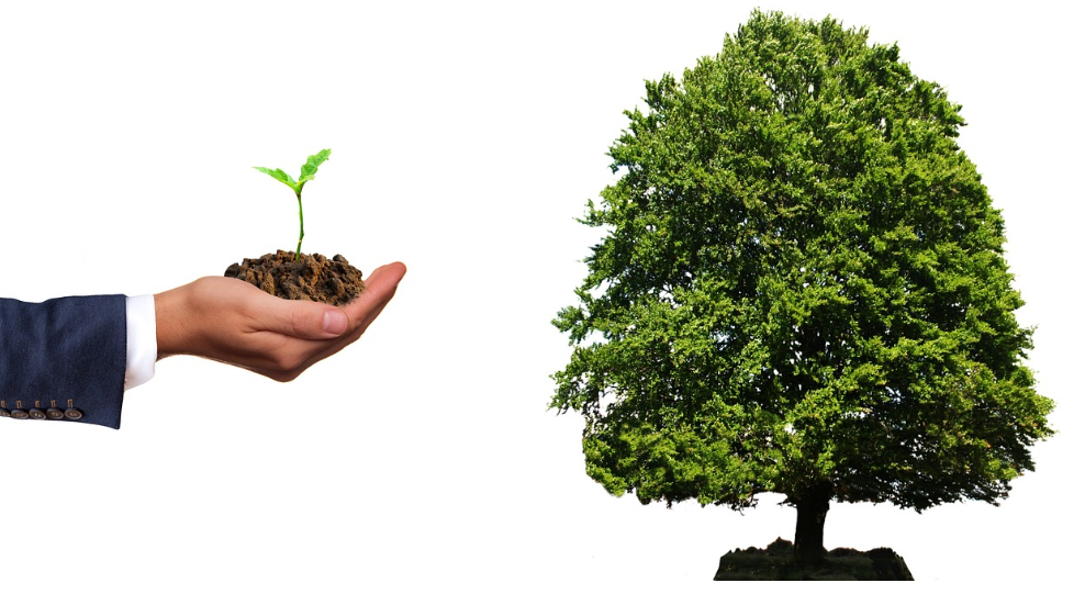 2025년 기준, 20대/30대가 시작하기 좋은 소액 투자 방법