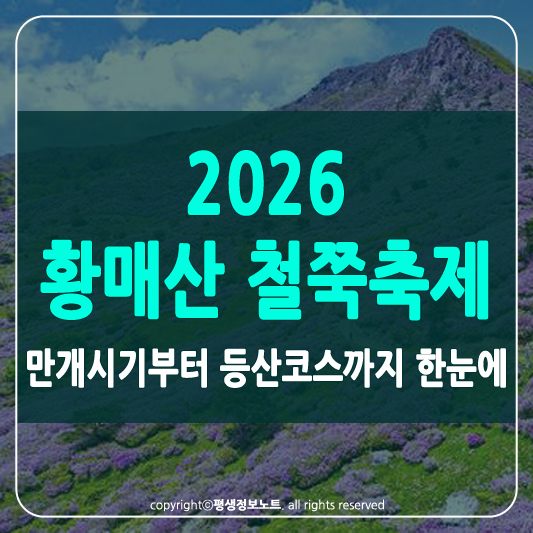 황매산 철쭉축제 썸네일