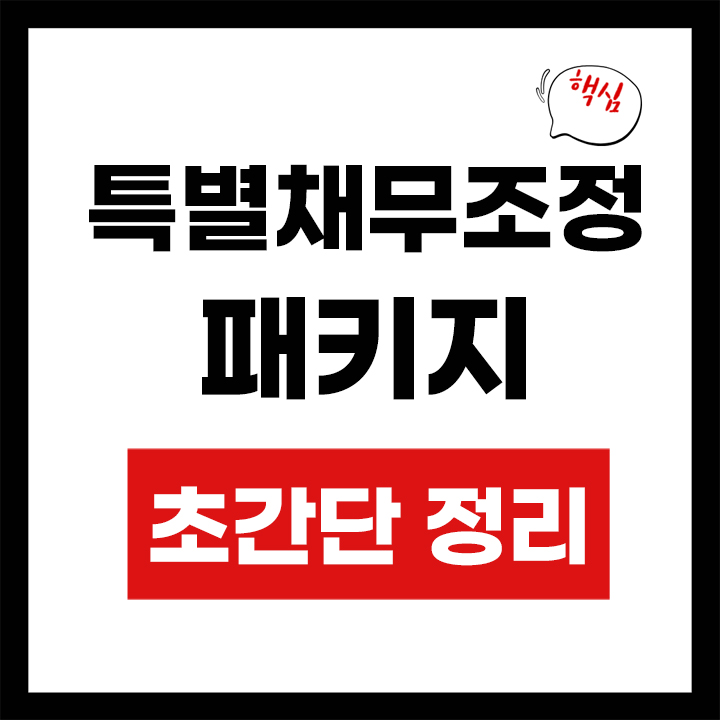 특별채무조정패키지 안내 표지