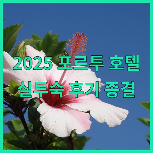 2025년 포르투 호텔 추천 리스트 ..