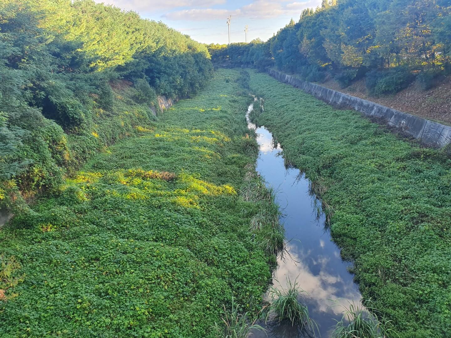 대화농업체험공원-개천