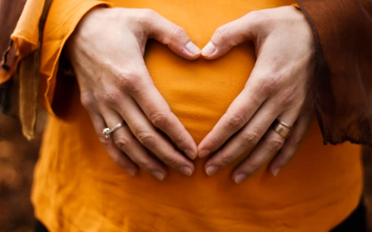 영지 버섯 부작용 : 임산부