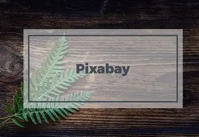 Pixabay 관련 이미지