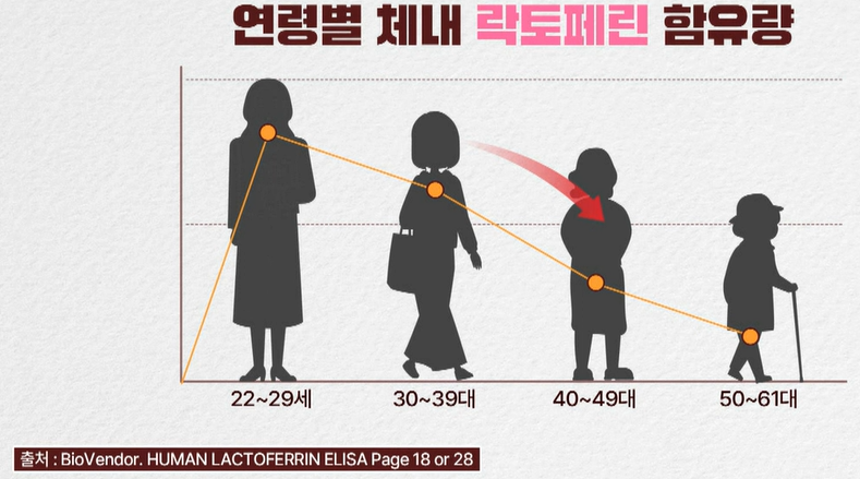 락토페린 효능
