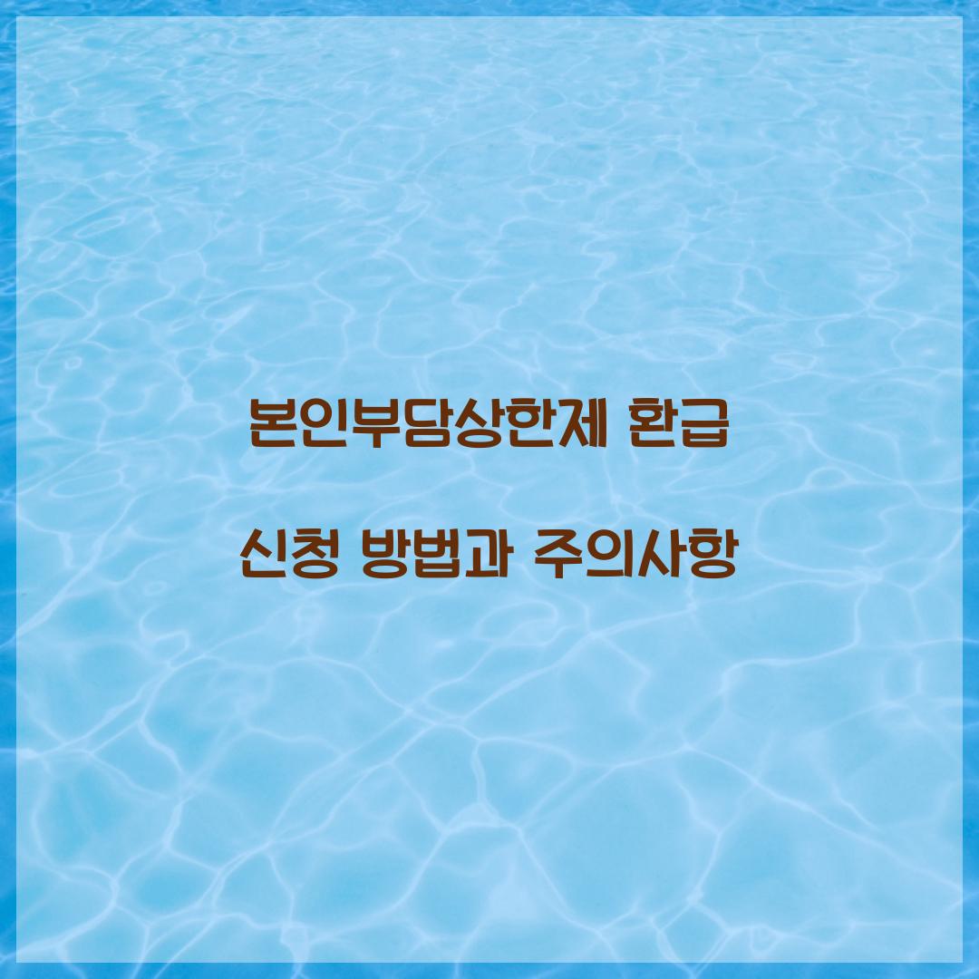 본인부담상한제 환급