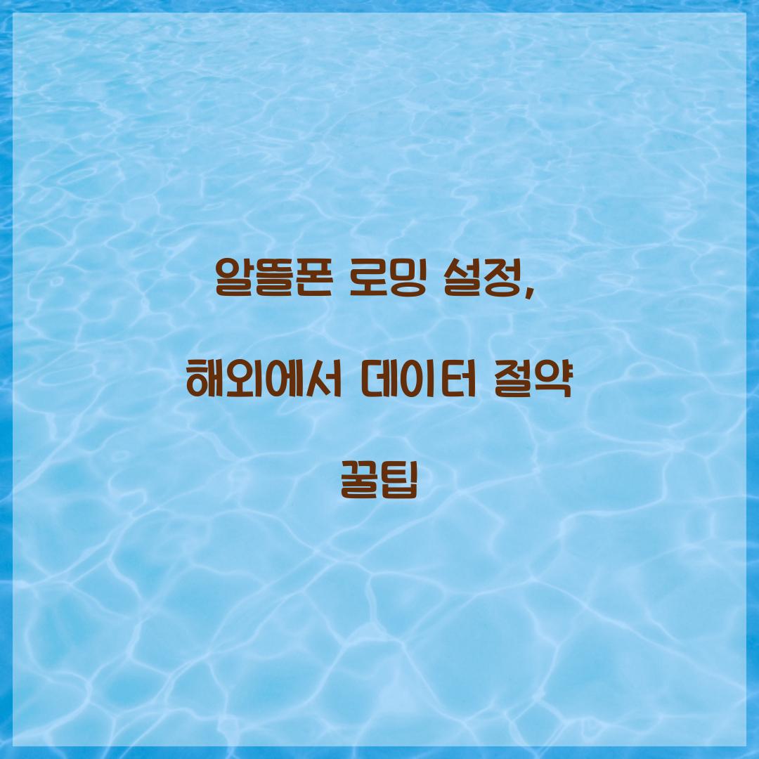 알뜰폰 로밍 설정