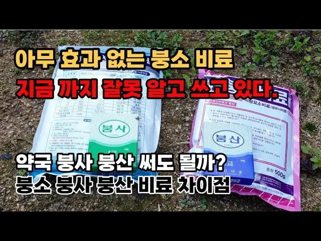 붕산의 효능 비료 바퀴벌레 개미 퇴치법 칼슘 용도 붕사의 차이 만드는 법 안내집_2
