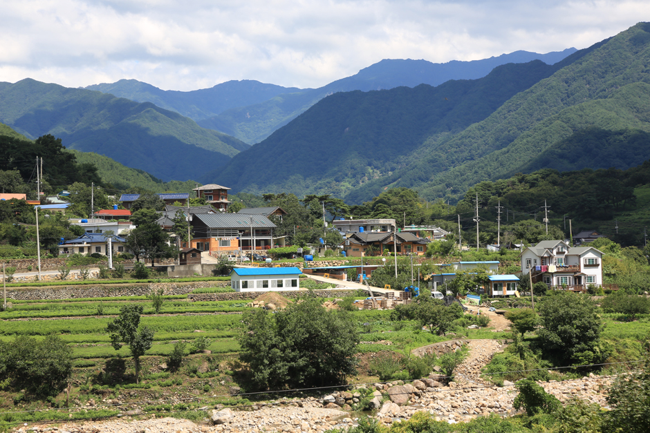 [경남 여행지 추천] 하동 가볼만한 곳 베스트 10 화개야생차밭