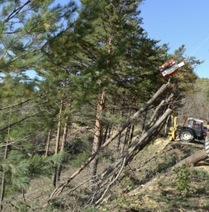 임업경영체 등록 조건 신청