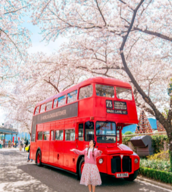 이월드벚꽃로드