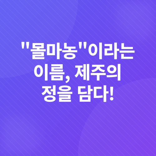 제주도 맛집 추천_2