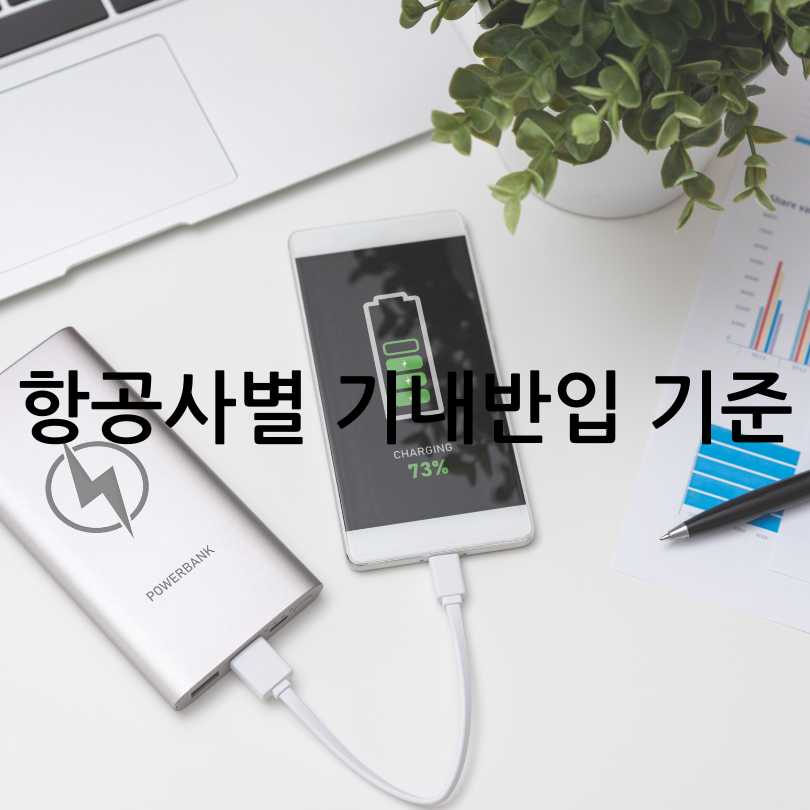 2025년 최신 보조배터리 기내반입 용량 규정