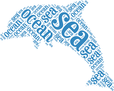 미지급금 조회방법