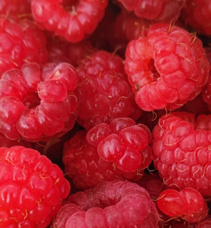 류마티스 관절염에 좋은 음식 영양제 식단