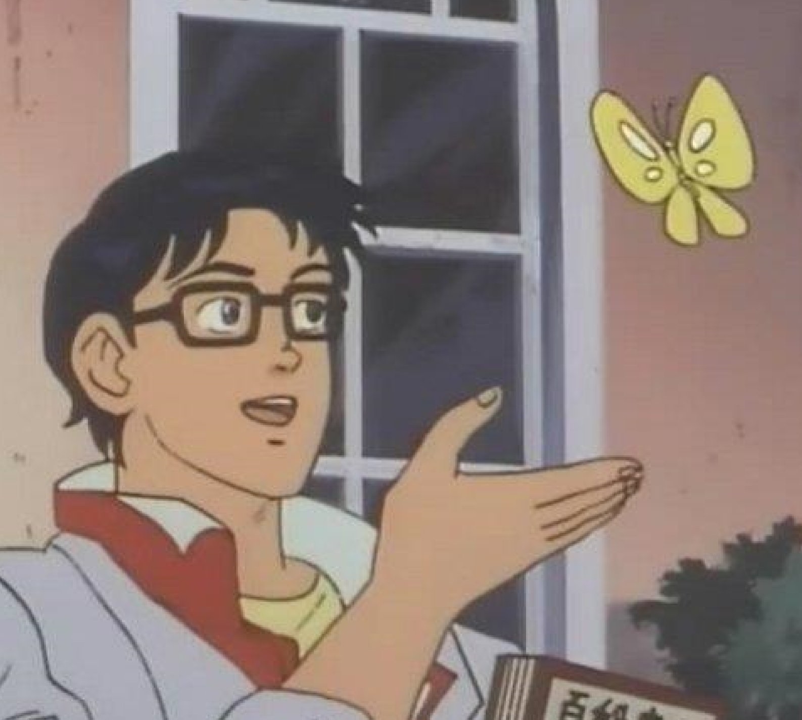 Is This A Pigeon 짤