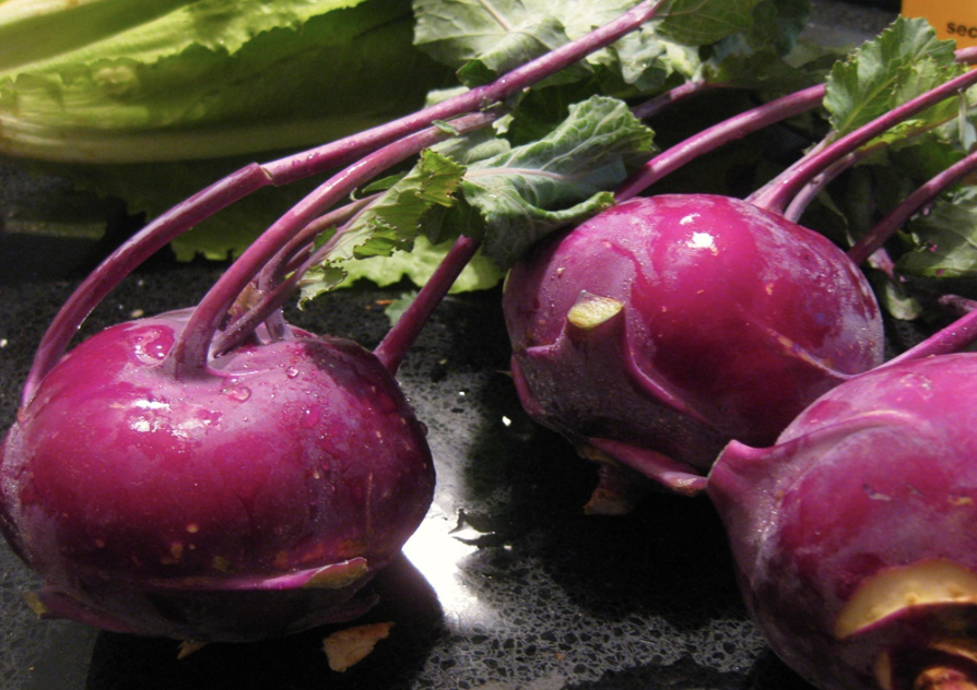 콜라비 보관방법