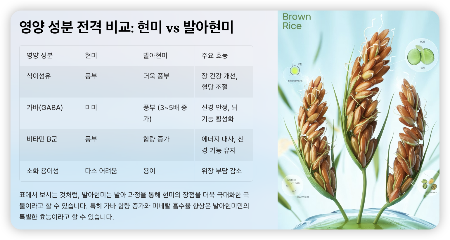 영양-성분-비교