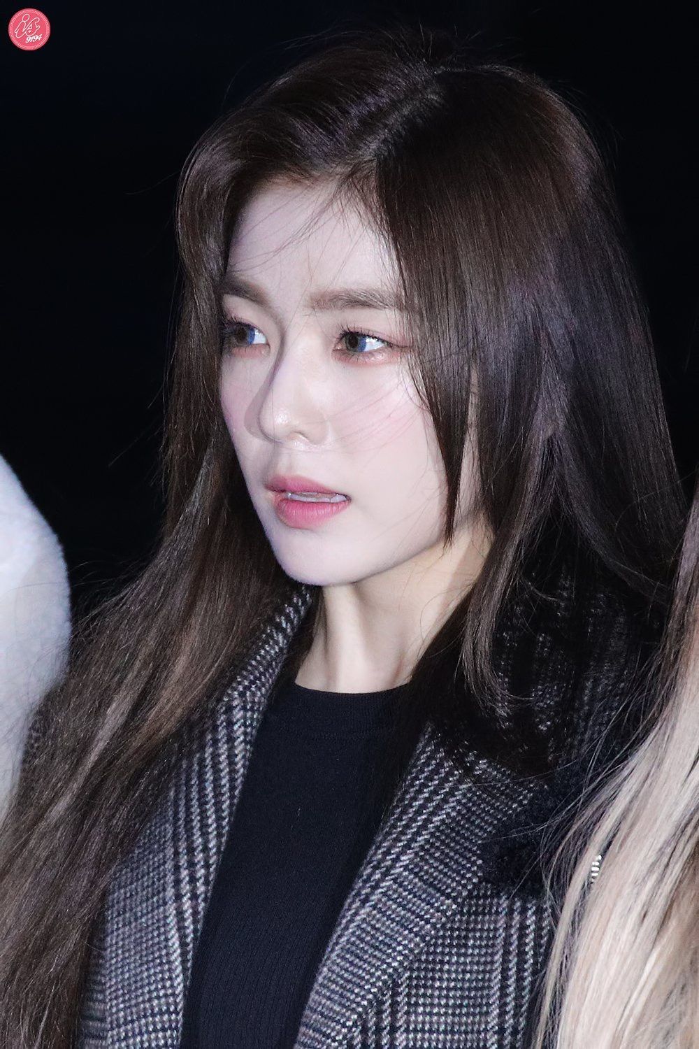 레드벨벳 레벨이 아이린