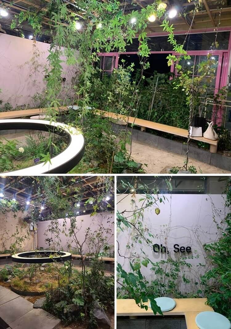 비밀의 정원 자리