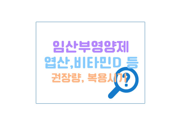 임산부영양제대표이미지
