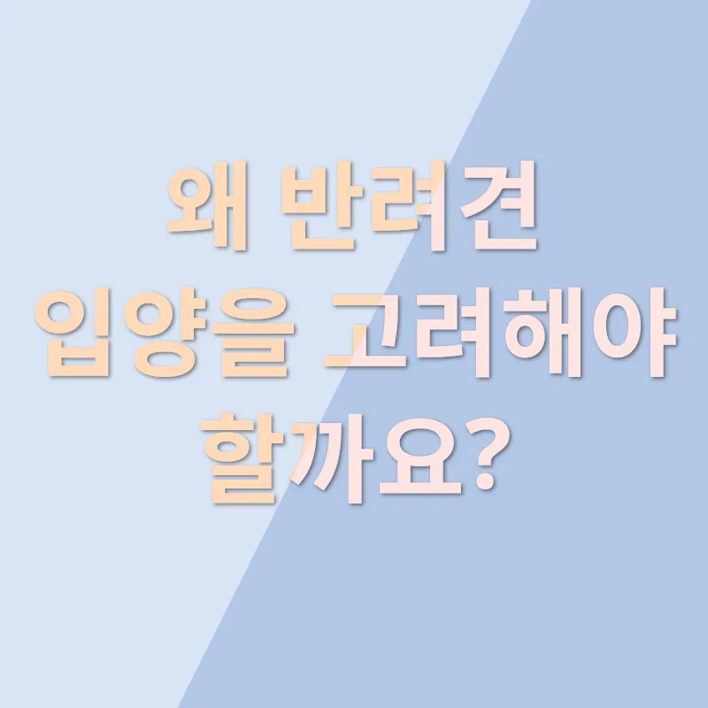 반려견 입양_1
