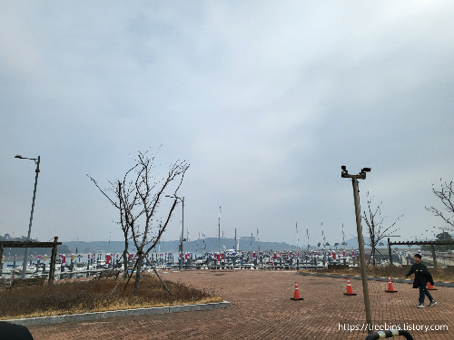영종도 왕산 마리나 항