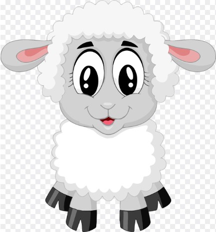 2026 양띠 신년운세 총정리 , 무료운세 사이트