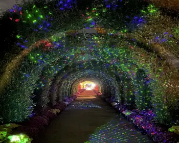 피나클랜드 불꽃축제_17