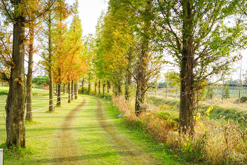 서산 잔디캠핑장 '삼원레저타운' 소개